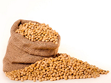 今天豆粕价格多少钱一吨？2020年11月27日豆粕最新价格